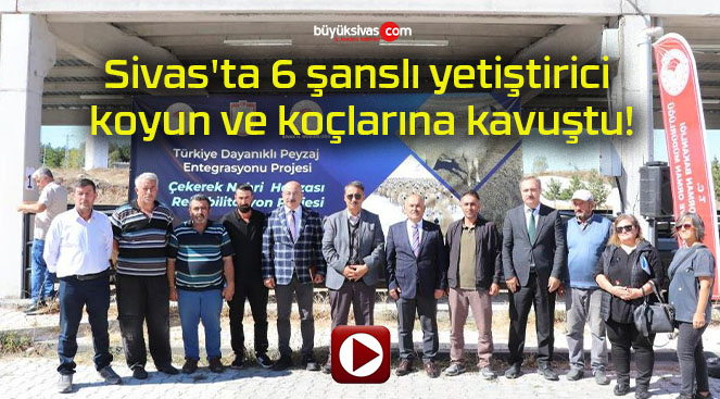 Sivas’ta 6 şanslı yetiştirici koyun ve koçlarına kavuştu!