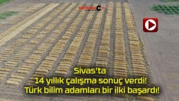 Sivas’ta 14 yıllık çalışma sonuç verdi! Türk bilim adamları bir ilki başardı!