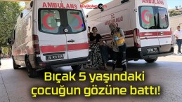 Bıçak 5 yaşındaki çocuğun gözüne battı!