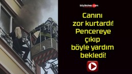 Canını zor kurtardı! Pencereye çıkıp böyle yardım bekledi!