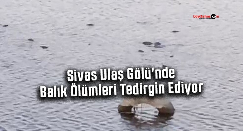 Sivas Ulaş Gölü’nde Balık Ölümleri Tedirgin Ediyor