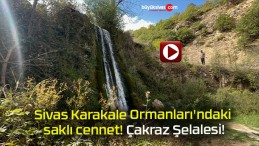 Sivas Karakale Ormanları’ndaki saklı cennet! Çakraz Şelalesi!