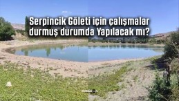 Serpincik Göleti için çalışmalar durmuş durumda… Yapılacak mı?