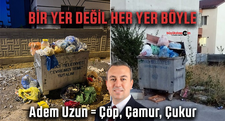 Sivas’ta Temizlik Krizi Büyüyor! Şehir Çöplerle Boğuşuyor