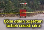 Çöpe atılan poşetten bebek cesedi çıktı!