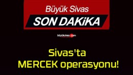 Sivas’ta MERCEK operasyonu!