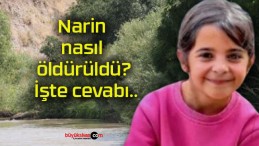 Narin nasıl öldürüldü? İşte cevabı..