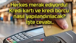 Herkes merak ediyordu! Kredi kartı ve kredi borcu nasıl yapılandırılacak? İşte cevabı..