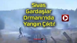 Sivas Gardaşlar Ormanı’nda Yangın Çıktı!