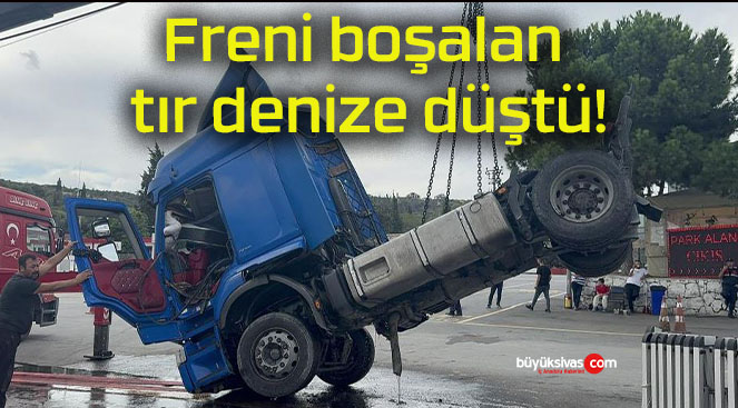 Freni boşalan tır denize düştü!