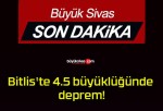 Bitlis’te 4.5 büyüklüğünde deprem!