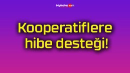 Kooperatiflere hibe desteği!