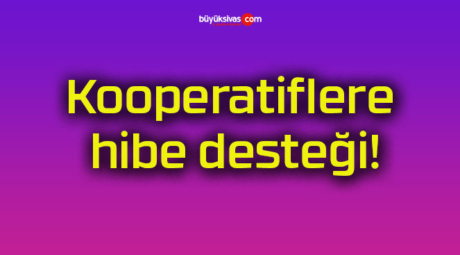 Kooperatiflere hibe desteği!