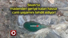 Sivas’ta madenden geriye kalan havuz canlı yaşamını tehdit ediyor!