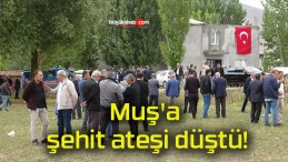 Muş’a şehit ateşi düştü!