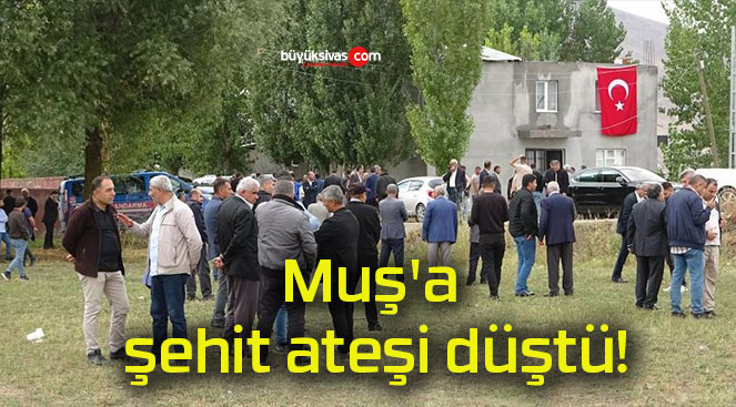 Muş’a şehit ateşi düştü!