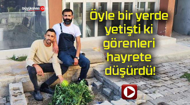 Öyle bir yerde yetişti ki görenleri hayrete düşürdü!