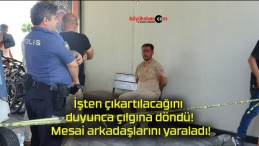 İşten çıkartılacağını duyunca çılgına döndü! Mesai arkadaşlarını yaraladı!