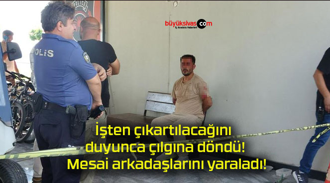 İşten çıkartılacağını duyunca çılgına döndü! Mesai arkadaşlarını yaraladı!