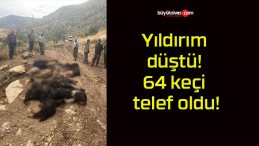 Yıldırım düştü! 64 keçi telef oldu!