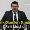 Balık Ölümleri Şimdilik “Faili Meçhul”