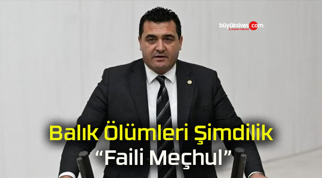 Balık Ölümleri Şimdilik “Faili Meçhul”