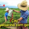 Çay fiyatlarına zam geldi!