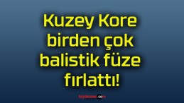 Kuzey Kore birden çok balistik füze fırlattı!