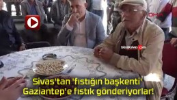 Sivas’tan ‘fıstığın başkenti’ Gaziantep’e fıstık gönderiyorlar!