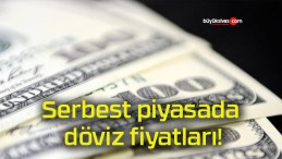 Serbest piyasada döviz fiyatları!