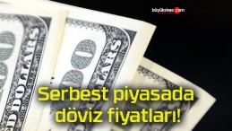 Serbest piyasada döviz fiyatları!