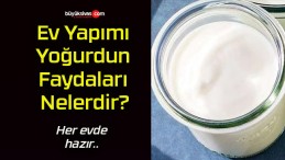 Ev Yapımı Yoğurdun Faydaları Nelerdir?