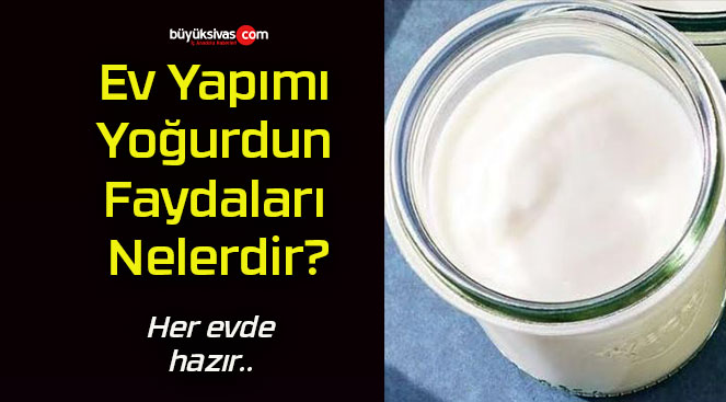 Ev Yapımı Yoğurdun Faydaları Nelerdir?