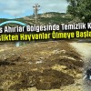 Sivas Ahırlar Bölgesinde Temizlik Krizi: “Pislikten Hayvanlar Ölmeye Başladı”