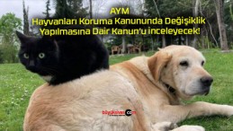 AYM, Hayvanları Koruma Kanununda Değişiklik Yapılmasına Dair Kanun’u inceleyecek!