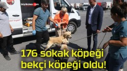 176 sokak köpeği bekçi köpeği oldu!