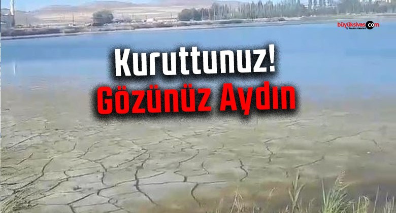 Ulaş Gölü Kuruyor, Balıklar Ölüyor! Acil Önlem Bekliyoruz