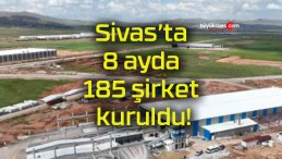 Sivas’ta 8 ayda 185 şirket kuruldu!