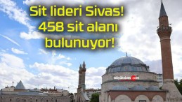 Sit lideri Sivas! 458 sit alanı bulunuyor!