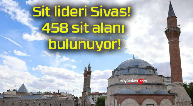 Sit lideri Sivas! 458 sit alanı bulunuyor!