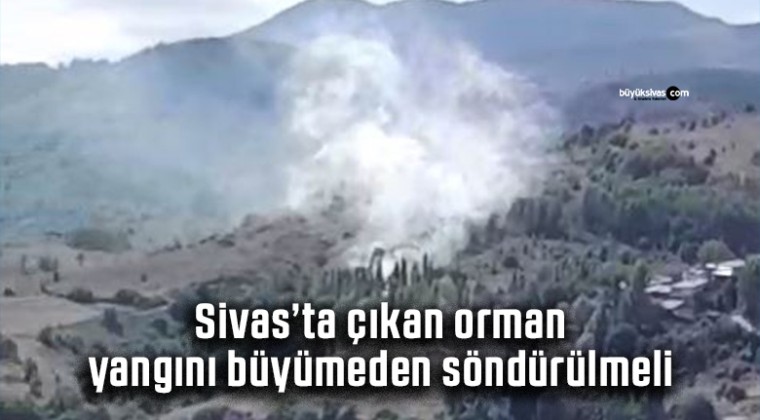 Sivas Doğanşar Alazlı Köyü mevkiinde orman yangını