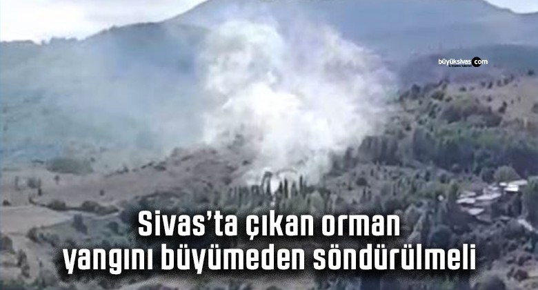 Sivas Doğanşar Alazlı Köyü mevkiinde orman yangını