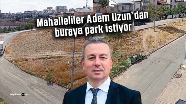 Alibaba Mahallesi Sakinlerinden Yeşil Alan Talebi: “Boş Alan Park Olsun”