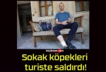 Sokak köpekleri turiste saldırdı!