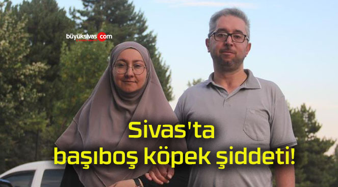 Sivas’ta başıboş köpek şiddeti!