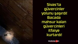 Sivas’ta güvercinler yolunu şaşırdı! Bacada mahsur kalan güvercinleri itfaiye kurtardı!