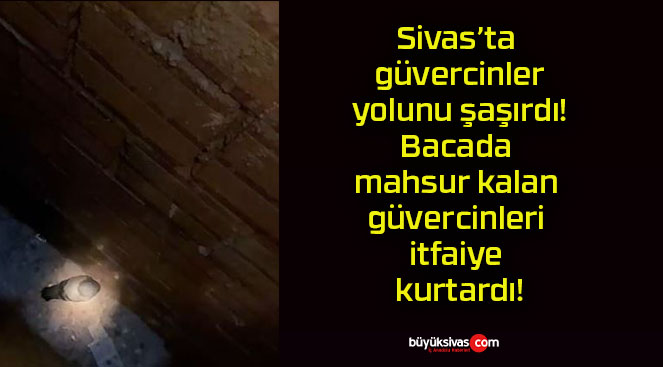 Sivas’ta güvercinler yolunu şaşırdı! Bacada mahsur kalan güvercinleri itfaiye kurtardı!