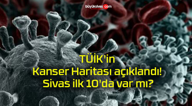 TÜİK’in Kanser Haritası açıklandı! Sivas ilk 10’da var mı?