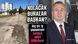 Tuzlugöl Mahallesi Sakinlerinden Yol Çilesi Feryadı