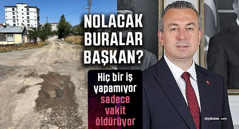 Tuzlugöl Mahallesi Sakinlerinden Yol Çilesi Feryadı